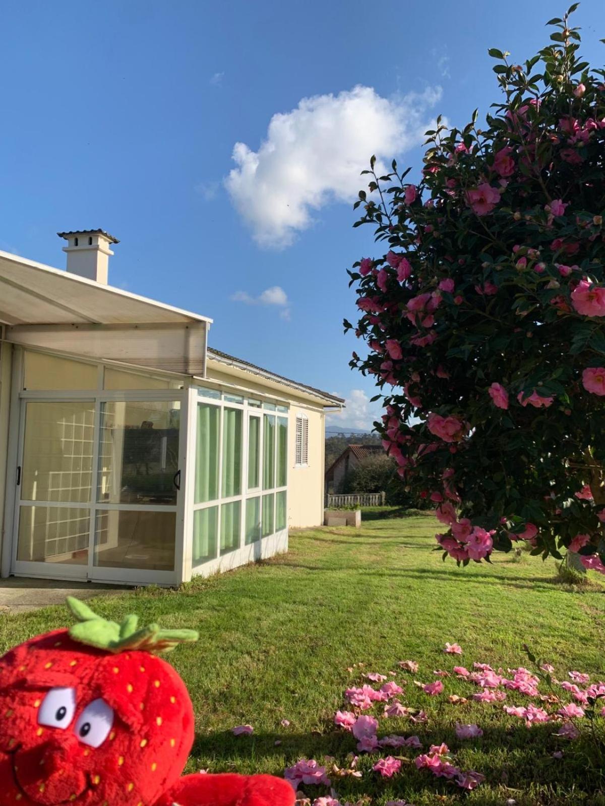 La Maison D'Abelleira ปอนเตอเรอัส ภายนอก รูปภาพ
