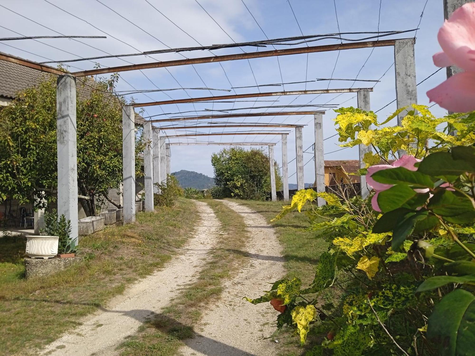 La Maison D'Abelleira ปอนเตอเรอัส ภายนอก รูปภาพ