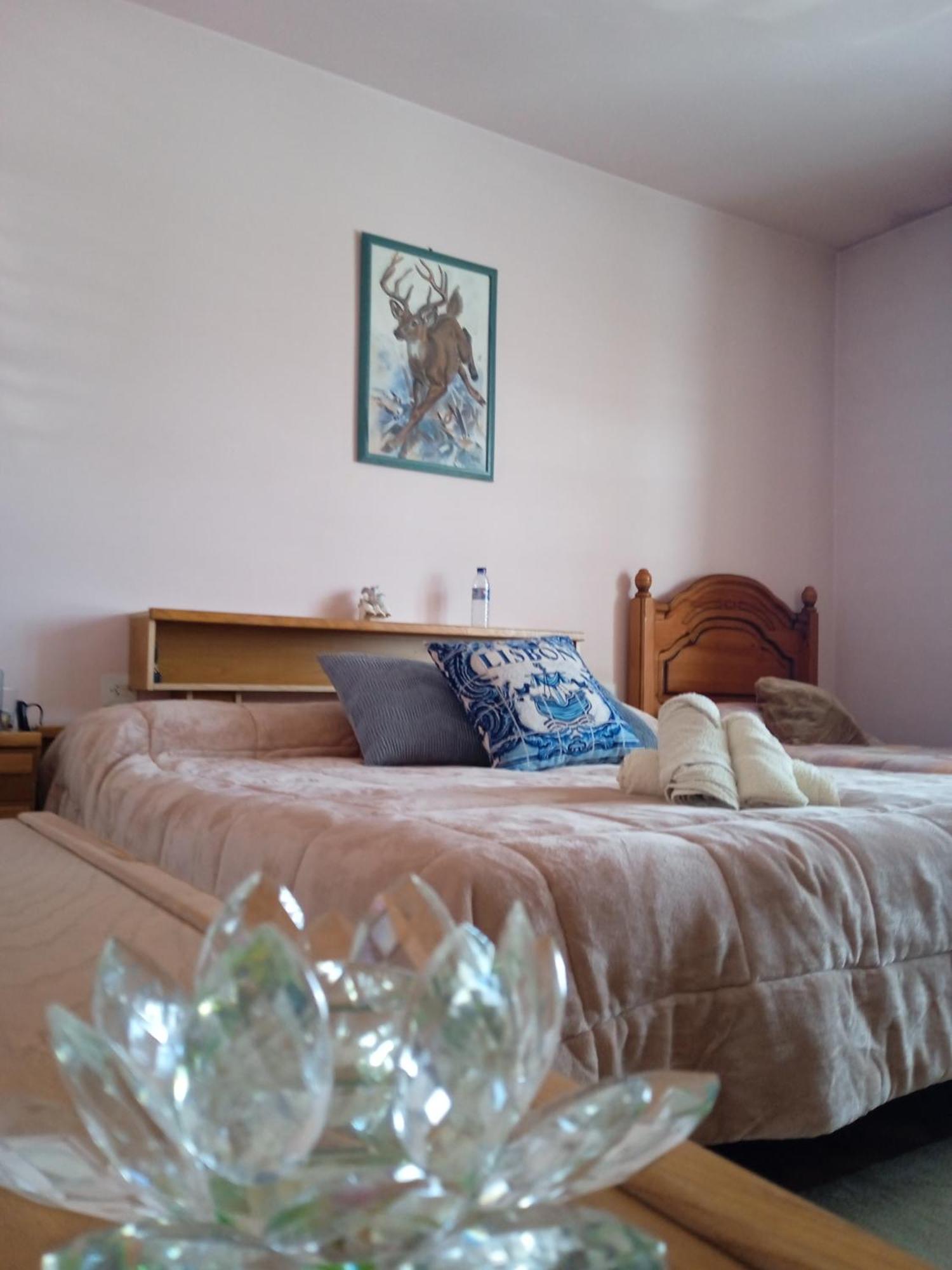 La Maison D'Abelleira ปอนเตอเรอัส ภายนอก รูปภาพ